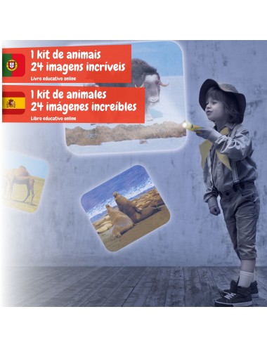 Linterna Animales - Proyector de Dibujos y Linterna Infantil, Juguete  Educativo y Científico para Niños +4 Anos